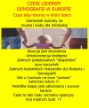 Może Polacy wezmą przykład od Czechów?