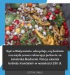 A prawdziwi przestępcy chodzą wolno i śmieją się ze wszystkich 