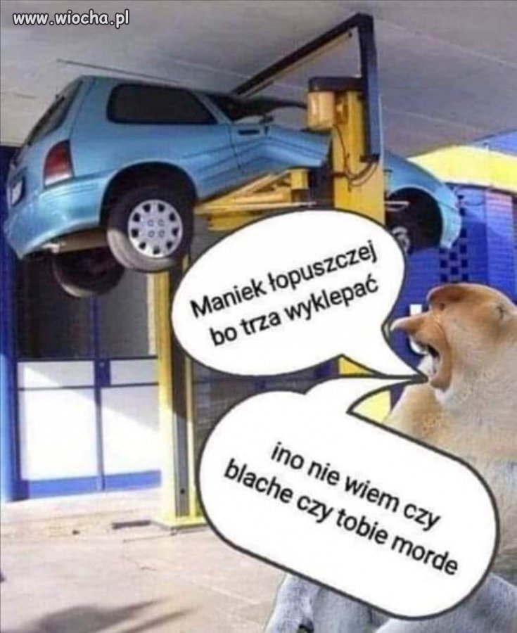 Miał pecha