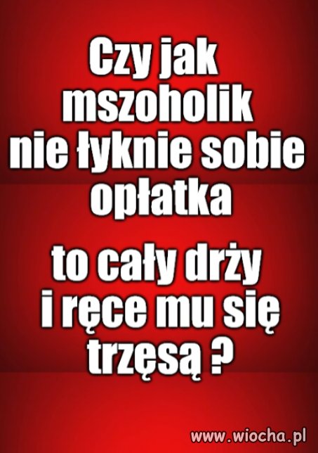 Kolega pytał