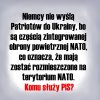 Komu służy PiS?