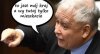 Świat oczami kaczora