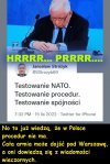 Państwo z kartonu