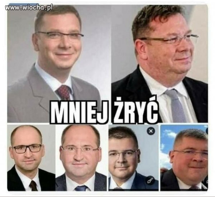 Tuczą się przed ubojem?