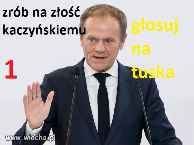 Wybory 