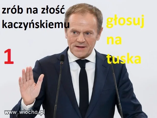 Wybory 