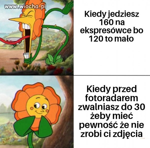 Ponad połowa kierowców tak ma.