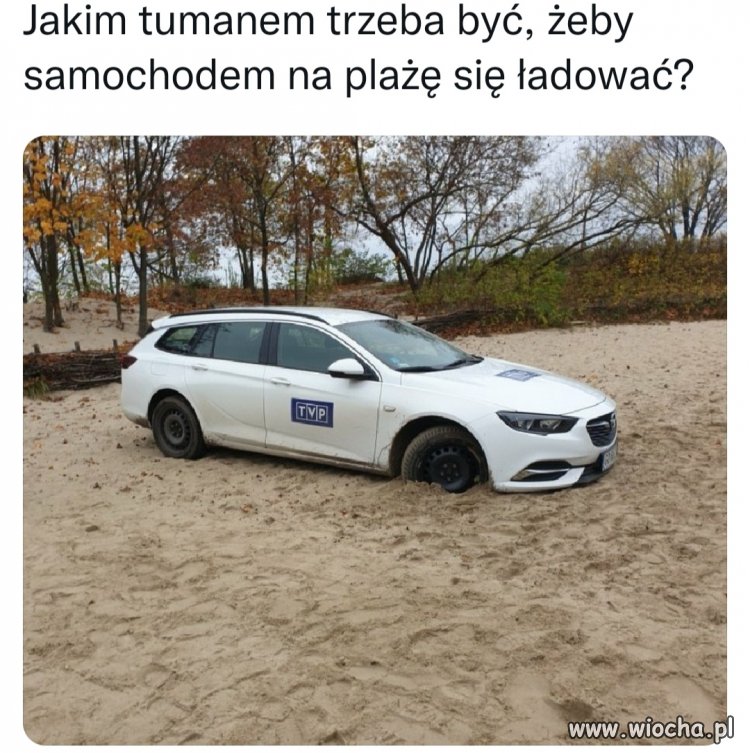 Tam mądry nikt nie pracuje
