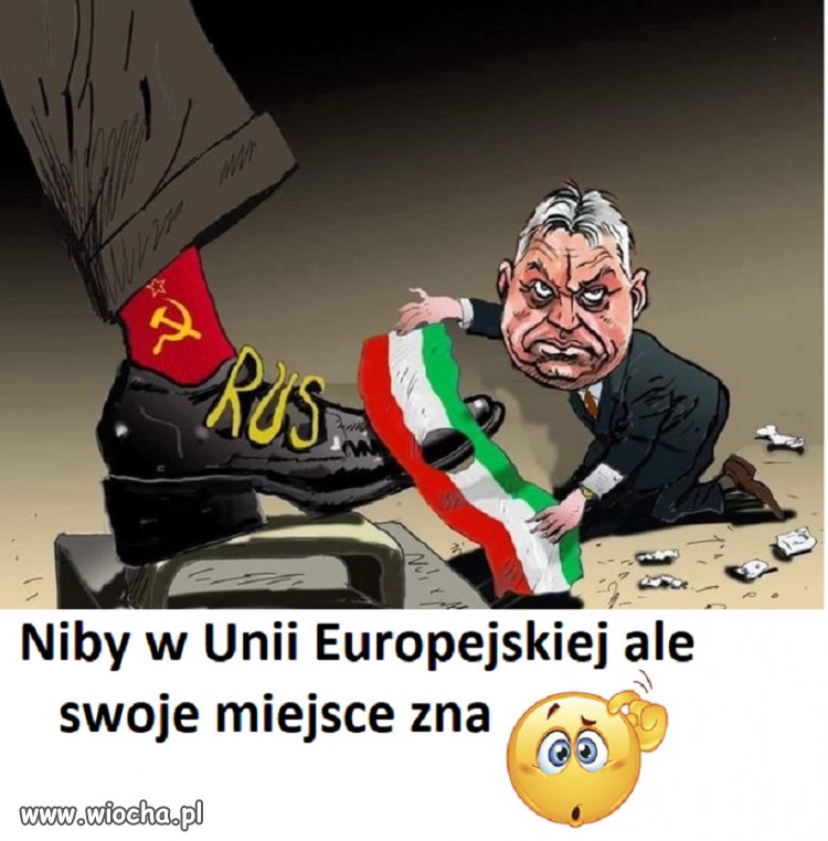 Służba nie drużba 