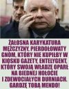Epikryza polityczna…