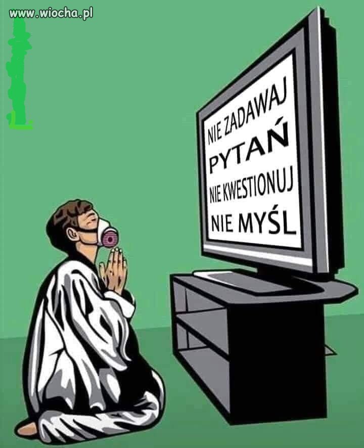 Typowa 