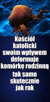 Bez podejścia chirurga nie wygramy walki o życie z KK