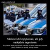 Polska policja czyli...