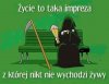 Tak się kończy 