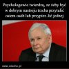Co o tym sądzicie?
