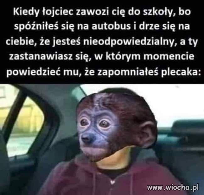 Kiedy stary wiezie cię do szkoły
