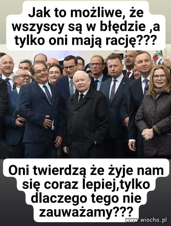 Pisowskie badziewie