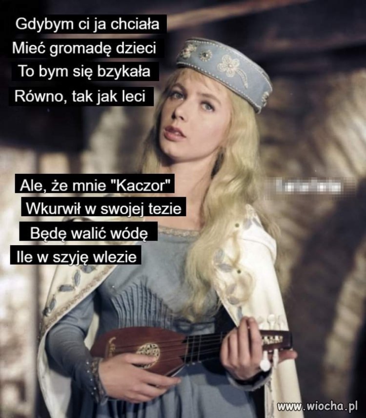 Pisiorki wiedza