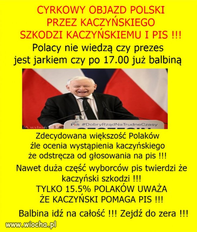 Nie przeszkadzajcie Kaczyńskiemu, niech dalej się ośmiesza!