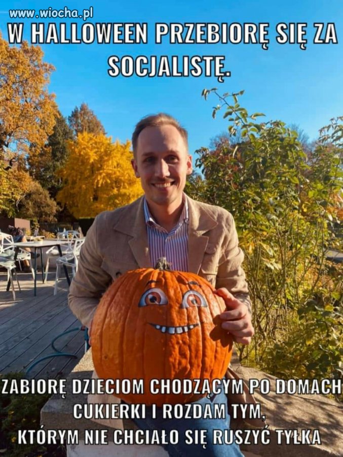 Socjalizm w pigulce