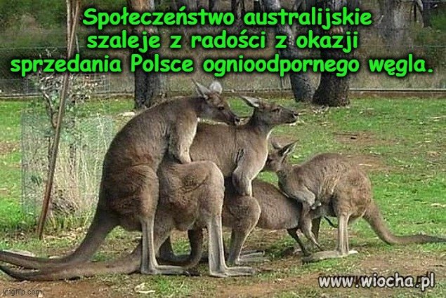 Australia imprezuje.