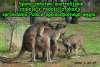 Australia imprezuje.