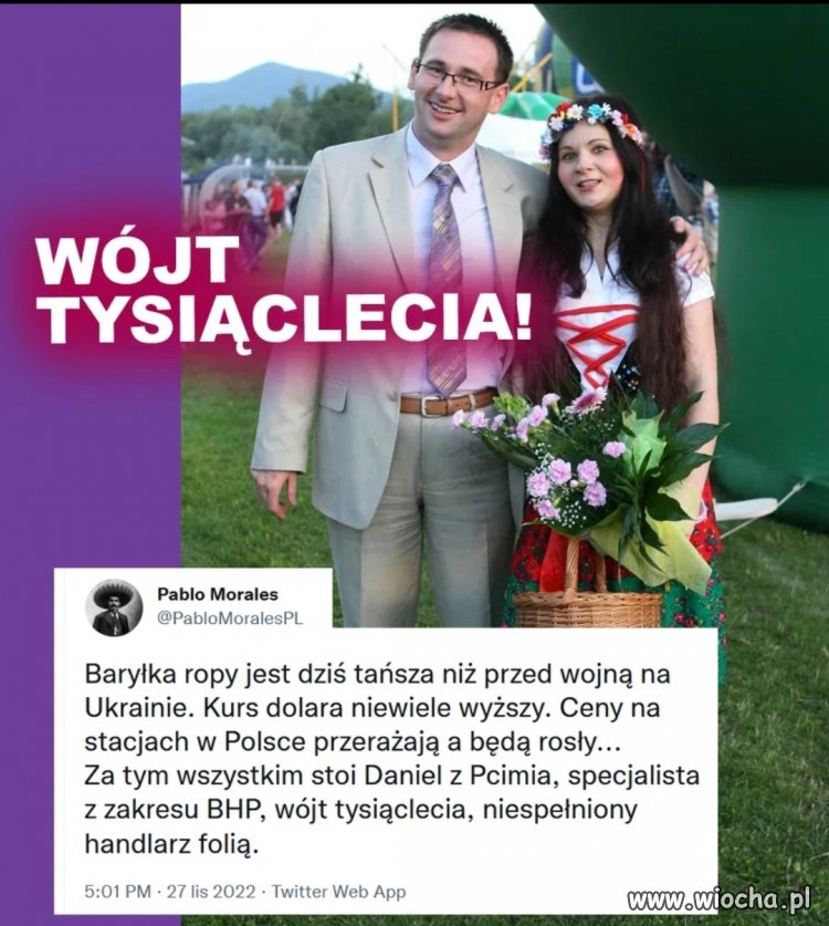 Wójt 