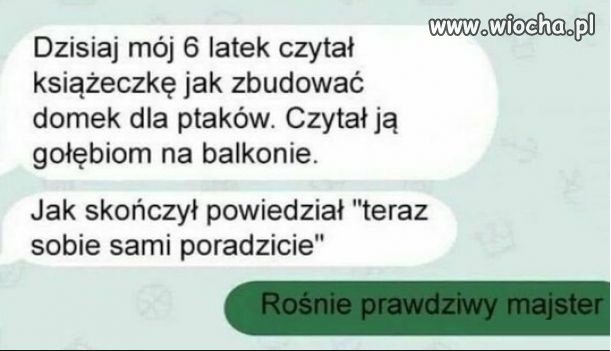 Rośnie prawdziwy majster
