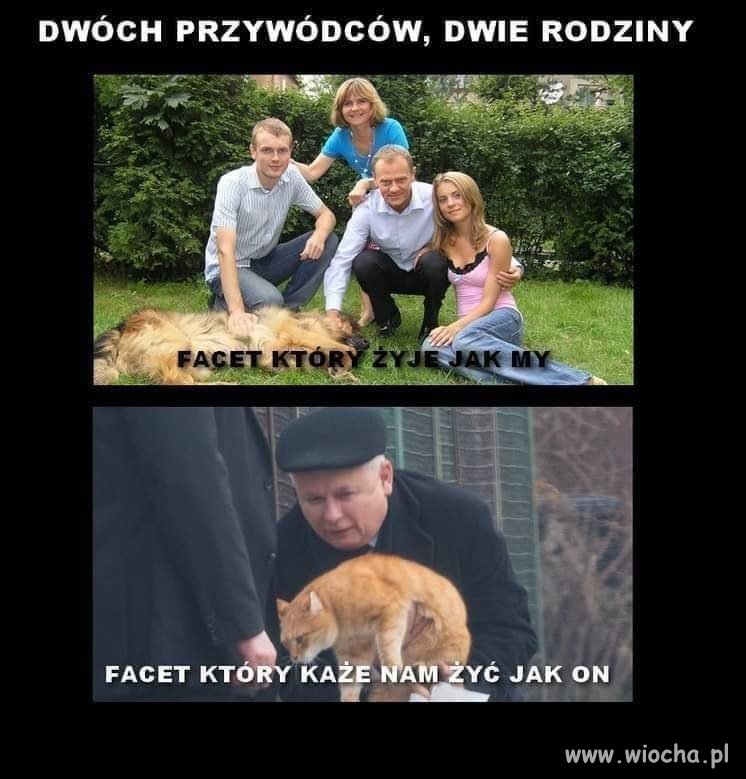Potwierdzam