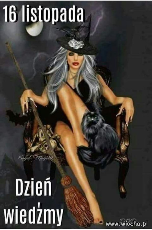 Przypadek? Nie sądzę 
