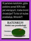 Krzyczą, że są prześladowani wtedy, kiedy nie pozwalamy im prześladować innych