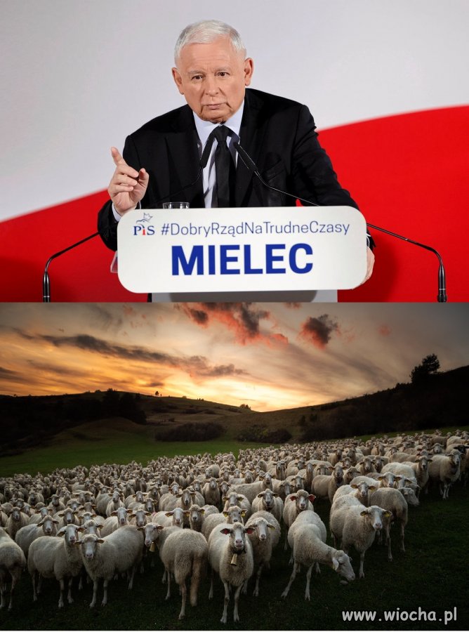 Nie chlać tylko do rodzenia! Kraj wzywa!