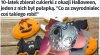Nasłuchał się katolickich ekspertów o haloween