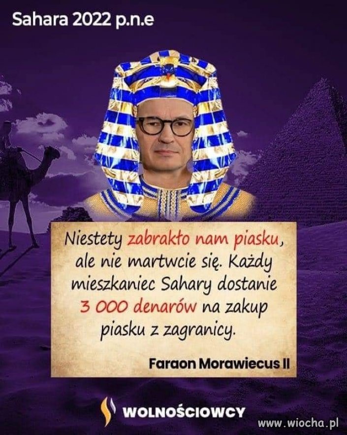 Morawiecko-kaczyńsko-pisowski 