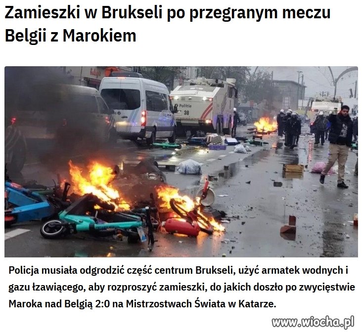 Rodowici Belgowie z marokańskim rodowodem