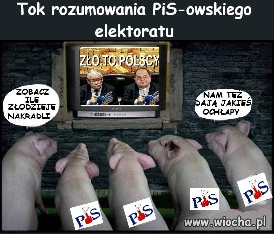 Krótko i na temat.