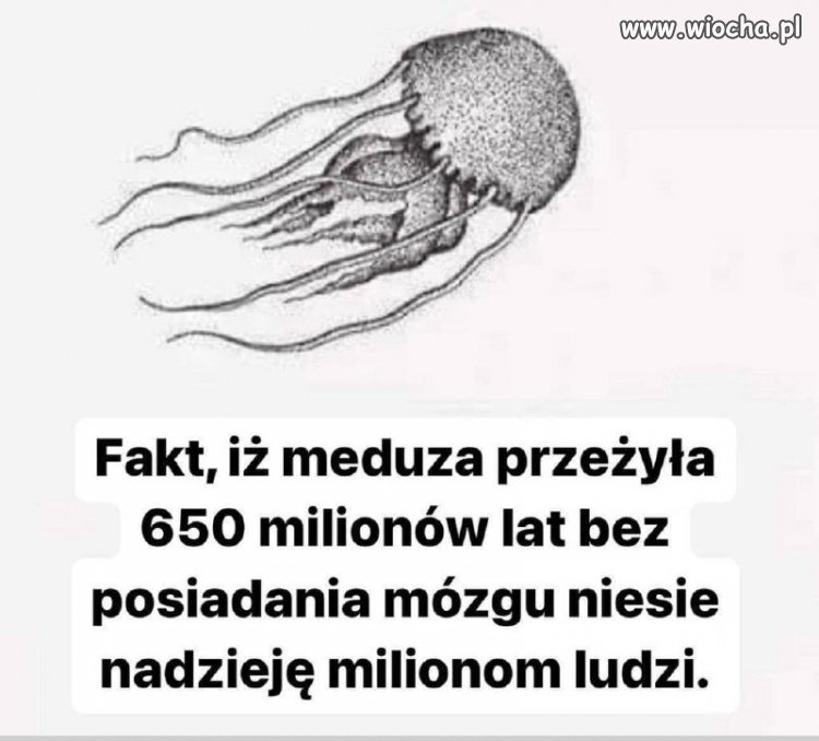 Jest nadzieja