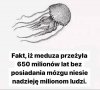 Jest nadzieja