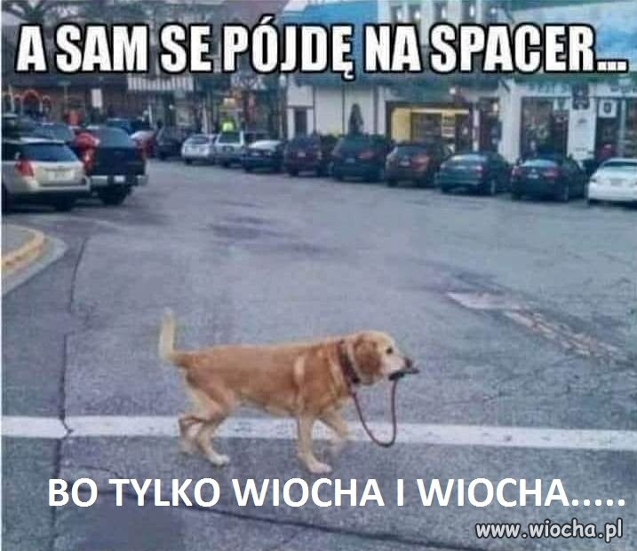 Mój Pan