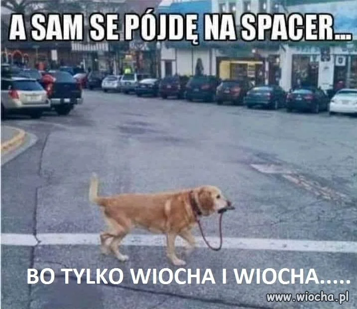 Mój Pan