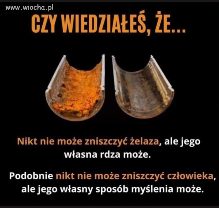 Ciekawe i prawdziwe