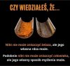 Ciekawe i prawdziwe