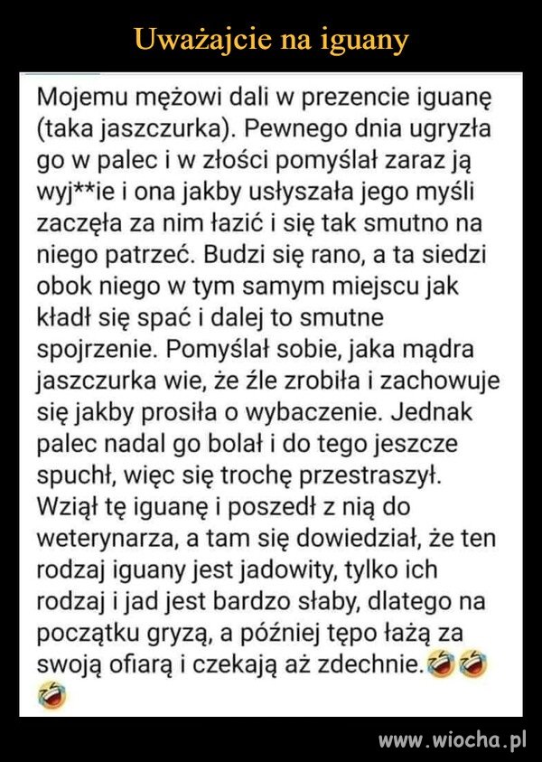 Mój kot też tak łazi za mną , mam się bać ?
