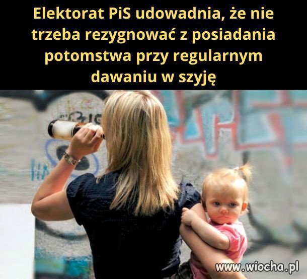 Jednak wuc nie ma racji