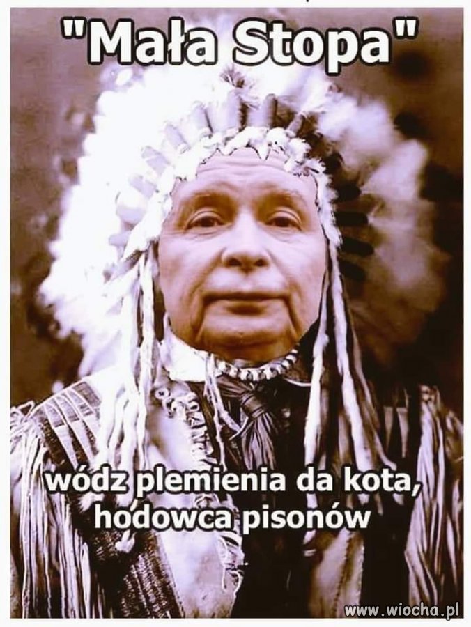 Wódz plemienia