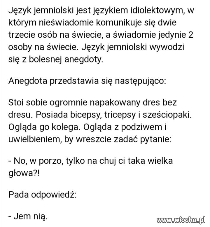 Karpowicz w powieści Ości opisał język jemniolski.