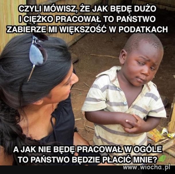 Państwo pis