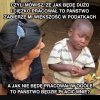 Państwo pis