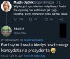 Ogórek i banda symulantów 