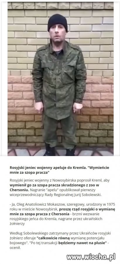 Wartość bojowa orków 